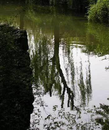 A reflective pond scene from a garden in Suzhou, China.