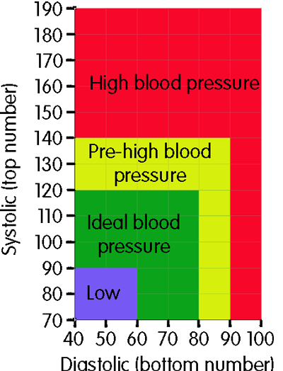 Tracking Your Blood Pressure A Vital Sign Mark Koester