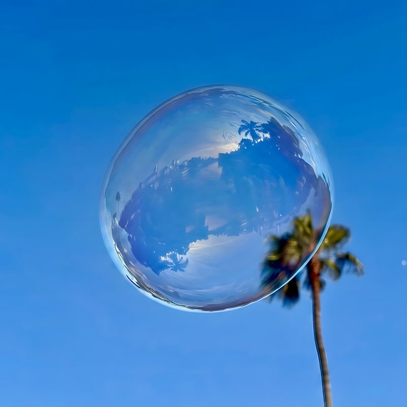 Palm Tree Party album cover: a soap bubble over the Venice canals with the neighbourhood reflected upside down inside it