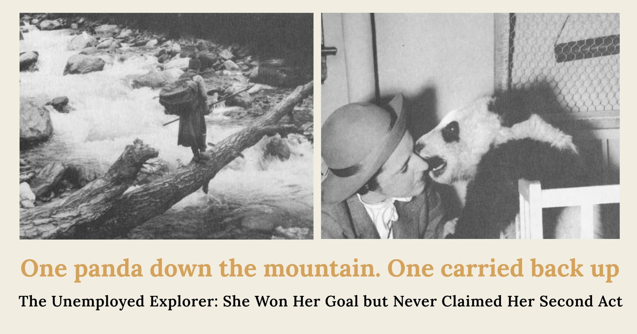 The Unemployed Explorer: Panda Lady Ruth Harkness Won Her Goal but Never Claimed Her Second Act